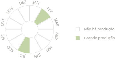 ciclo de produção do figo verde